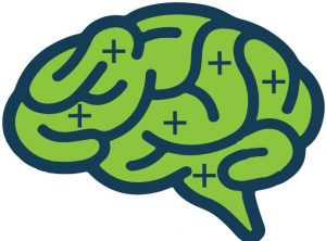 brain