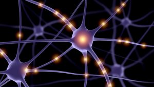 cognitive and brain enhancement